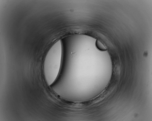 X0000103440459200809121105