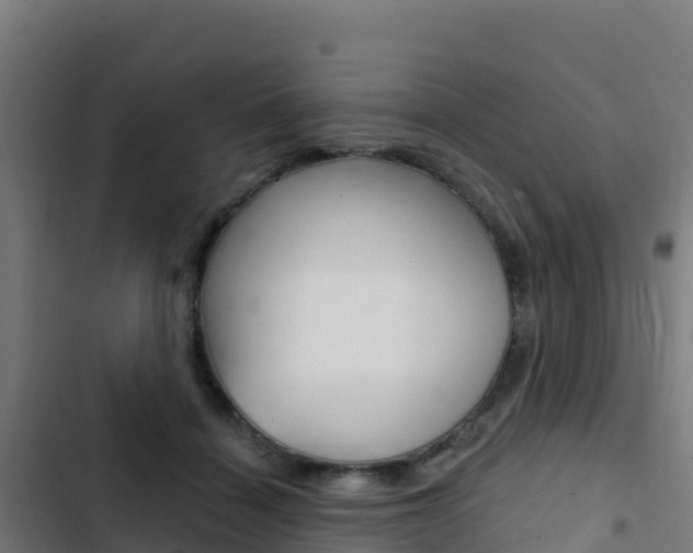 X0000103440460200809121105
