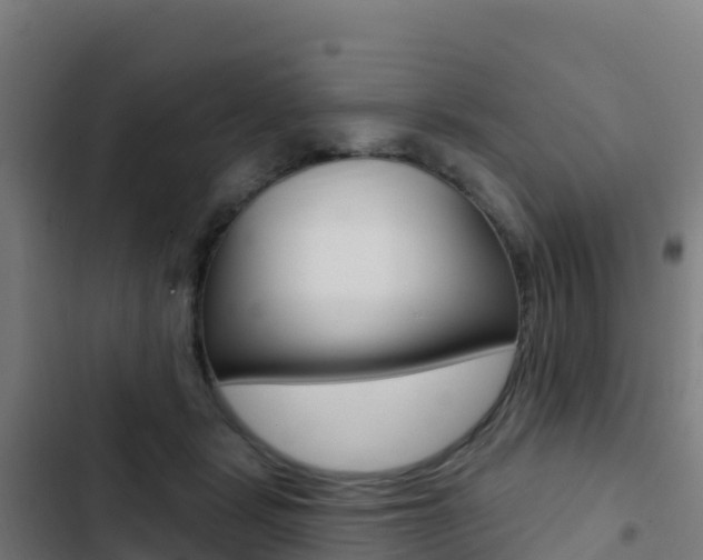 X0000103440461200809121105