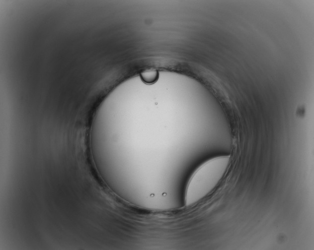 X0000103440462200809121105