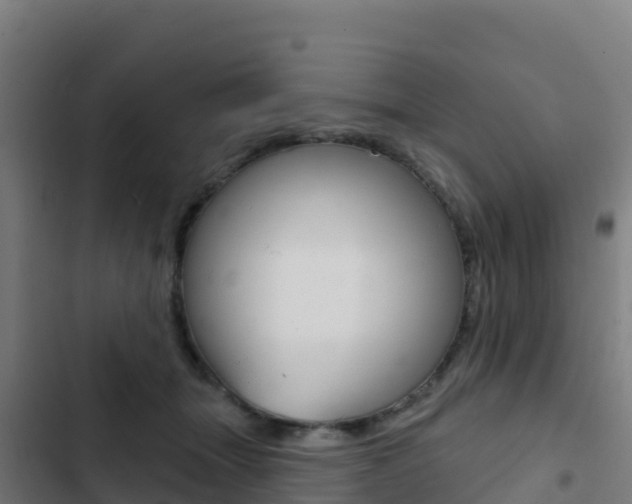 X0000103440463200809121105