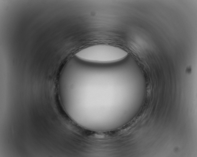 X0000103440464200809121105