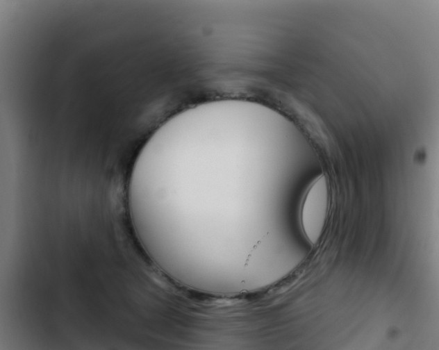 X0000103440465200809121105