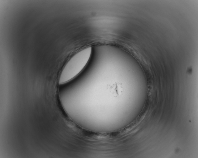 X0000103440466200809121105