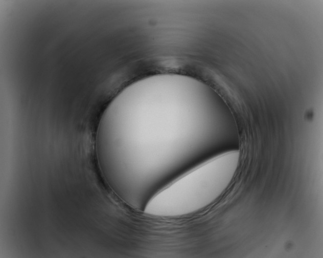 X0000103440467200809121105