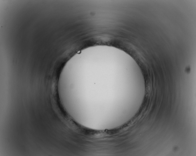X0000103440468200809121106