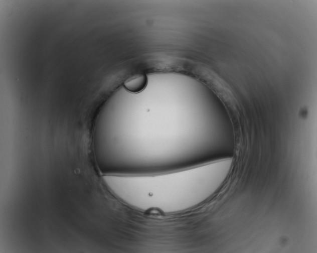 X0000103440469200809121106