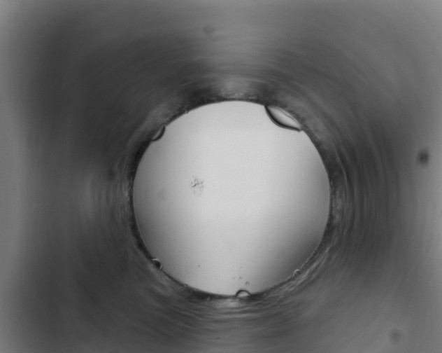 X0000103440473200809121106