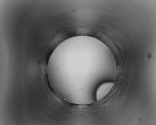 X0000103440474200809121106