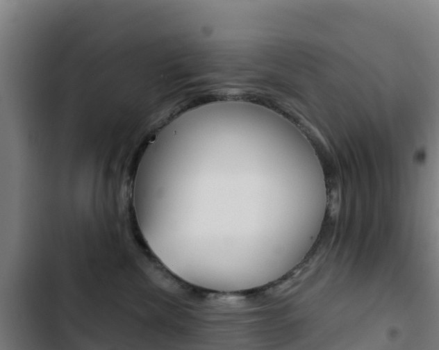 X0000103440476200809121106