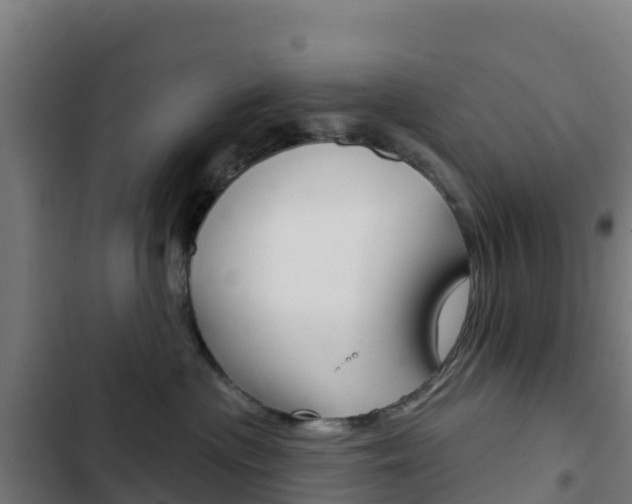 X0000103440477200809121106