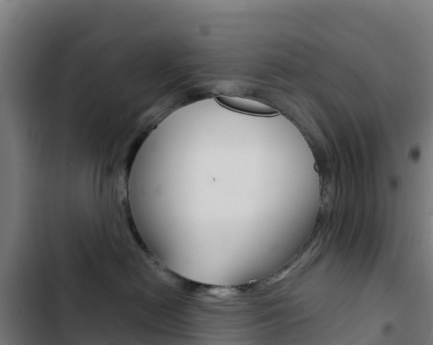 X0000103440478200809121106