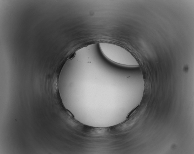 X0000103440479200809121106