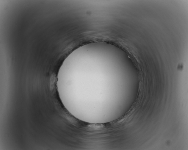 X0000103440480200809121106