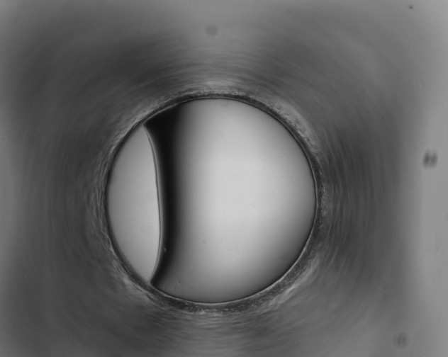 X0000103440481200809121105