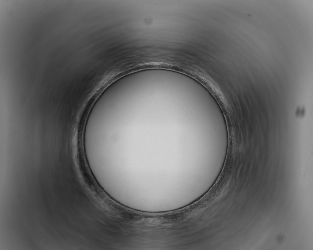 X0000103440482200809121105