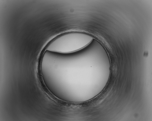 X0000103440484200809121105