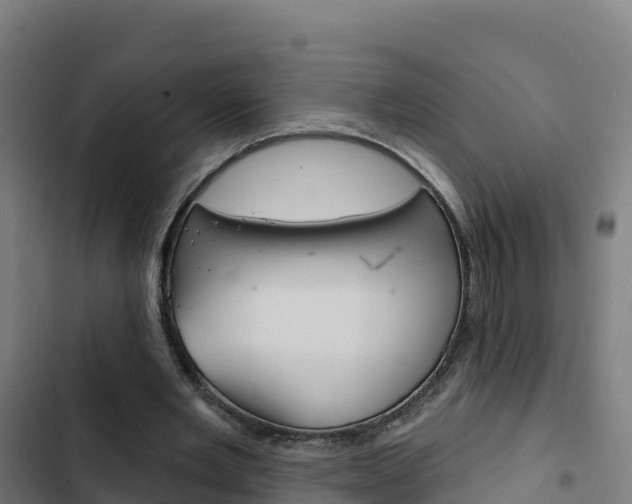 X0000103440485200809121105