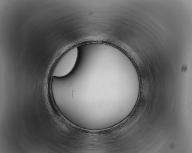X0000103440486200809121105