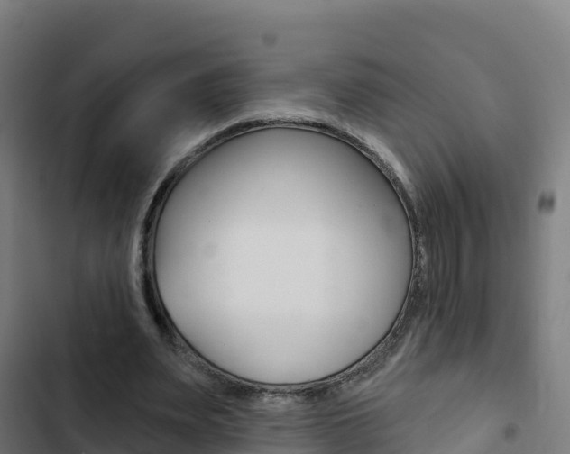 X0000103440487200809121105