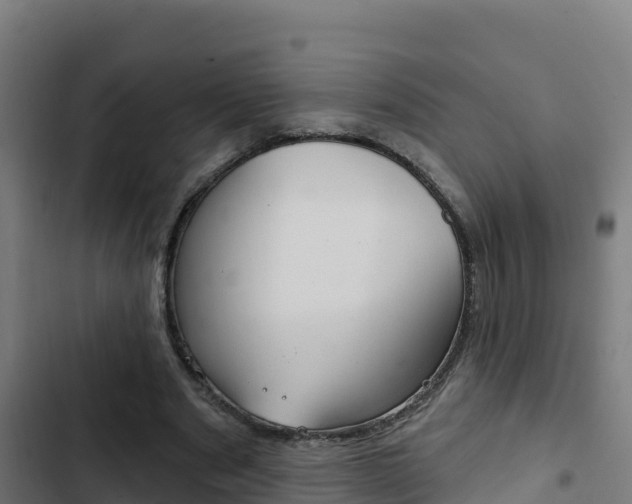 X0000103440489200809121105