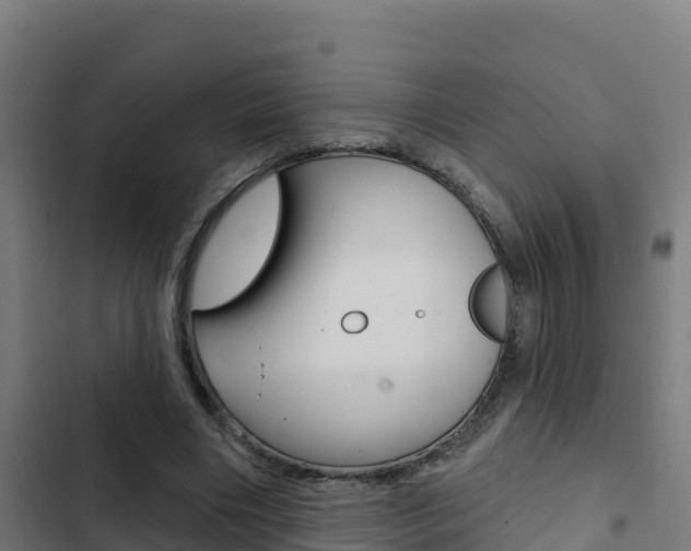 X0000103440490200809121105