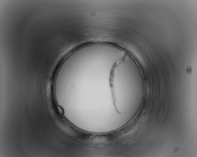 X0000103440491200809121105