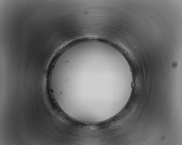 X0000103440492200809121105