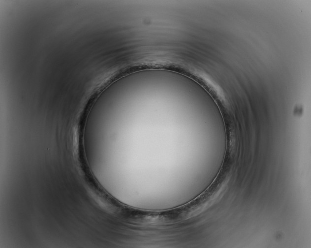 X0000103440493200809121105