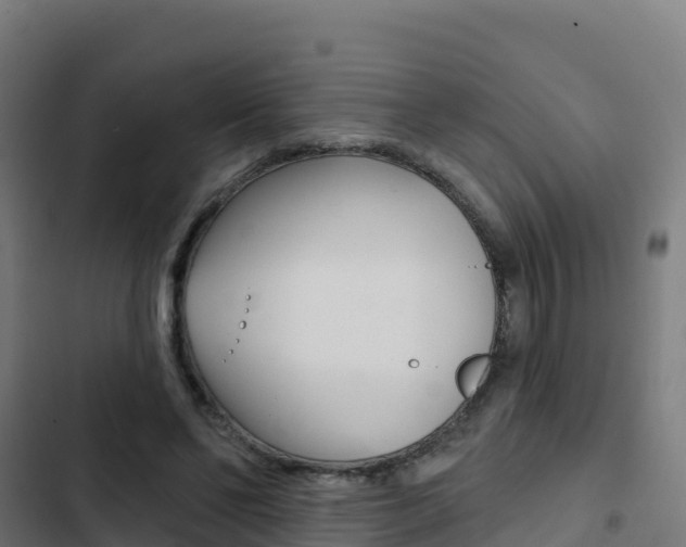 X0000103440494200809121105