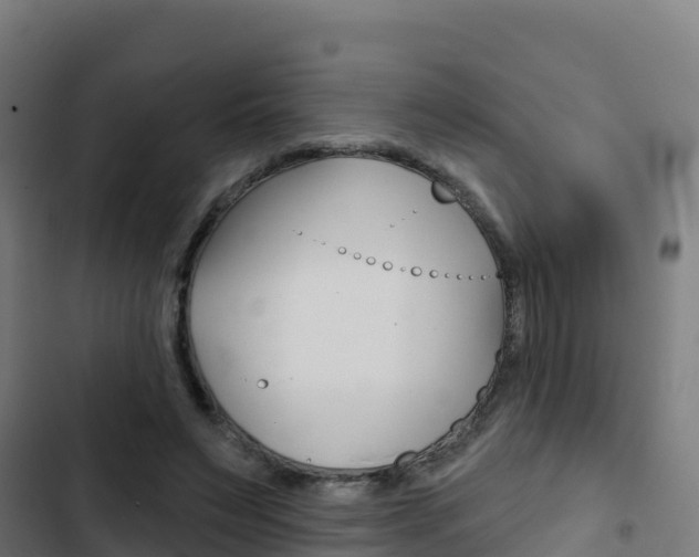 X0000103440495200809121105