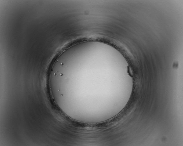 X0000103440496200809121105