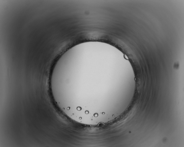 X0000103440497200809121105