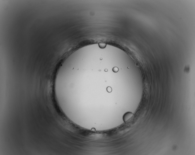 X0000103440499200809121105
