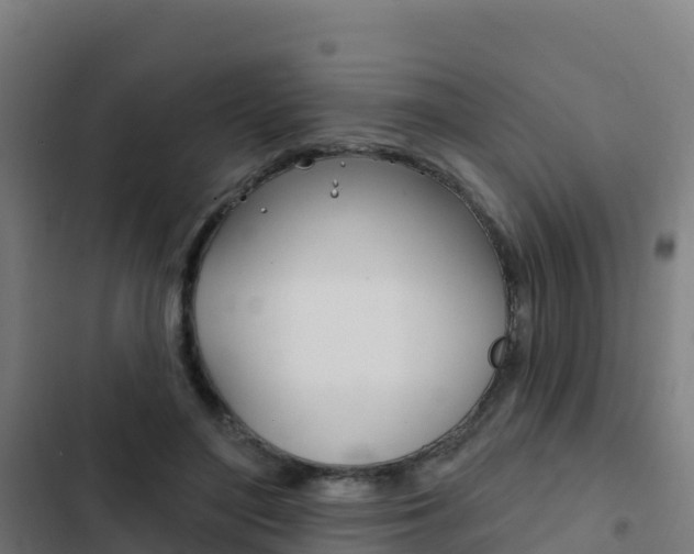 X0000103440500200809121105