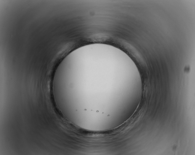 X0000103440501200809121105