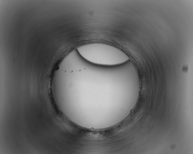 X0000103440502200809121105