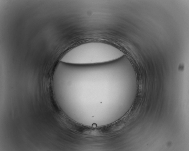 X0000103440503200809121105