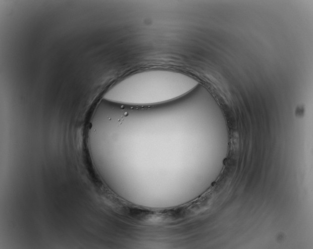 X0000103440504200809121105