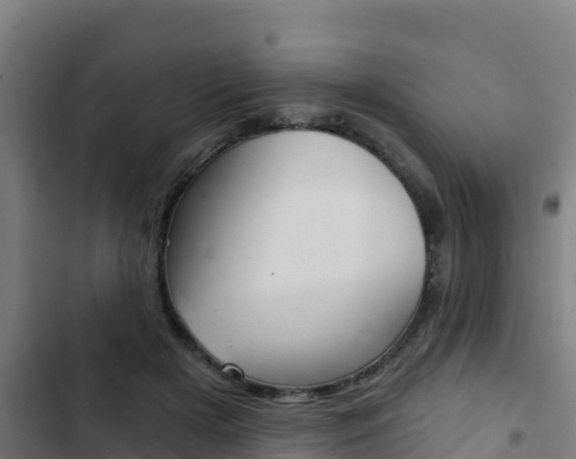 X0000103440505200809121105