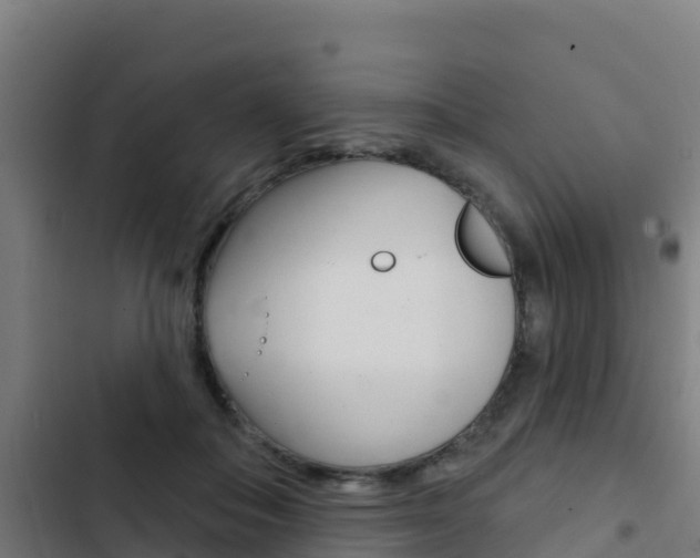 X0000103440506200809121105