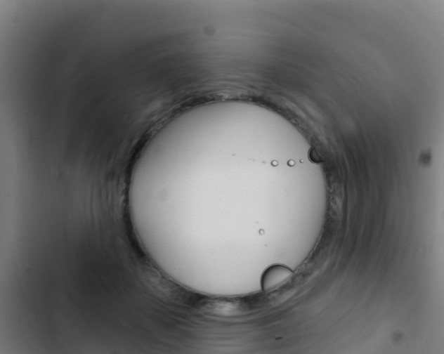 X0000103440507200809121105