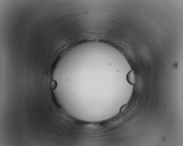 X0000103440511200809121105