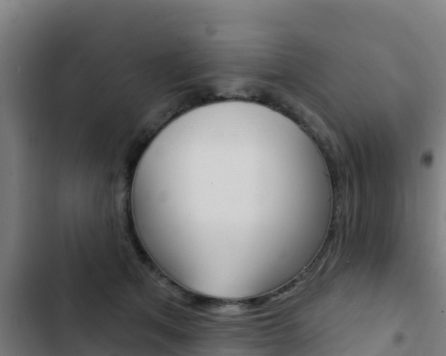 X0000103440513200809121105