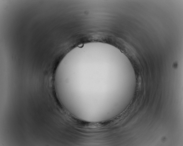 X0000103440514200809121105