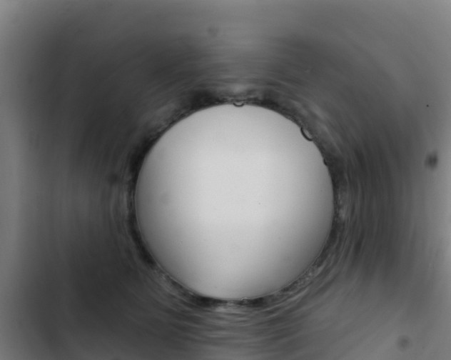 X0000103440515200809121105