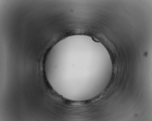 X0000103440516200809121105