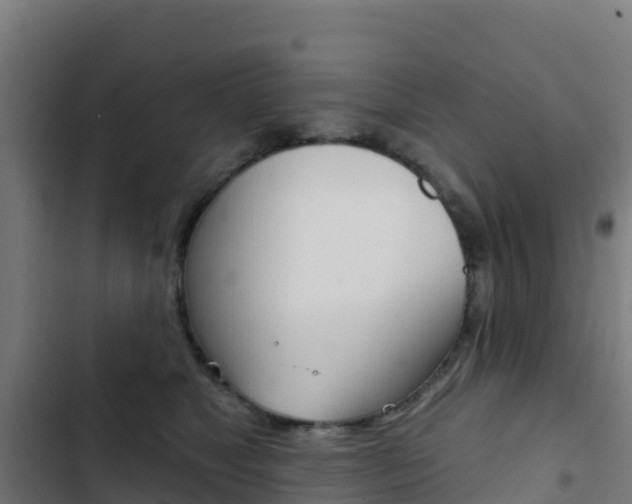 X0000103440517200809121105