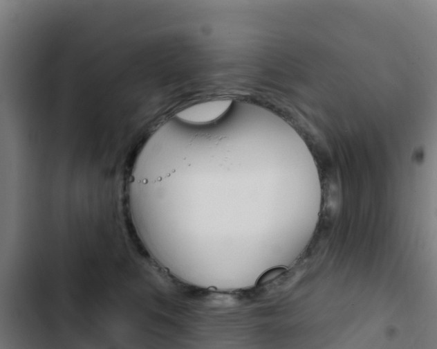 X0000103440519200809121104