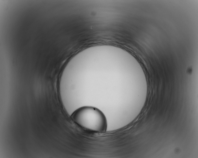 X0000103440520200809121104